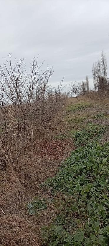 ucuz torpaq satılır: 28 sot — 2