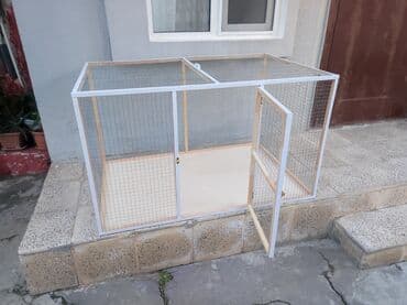 ag dovsan: Papuqay,dovşan,hamster,şinşila,bildirçin,cücə,xamyak,pişik,quş,tısbağa — 4