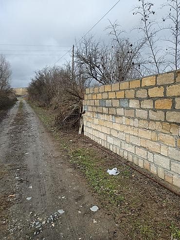 lokbatan heyet evi: Kənd təsərrüfatı — 2