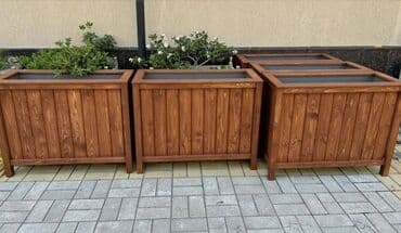 taxta dibçək: Restoranlar üçün dibçək qiymətlər fərqlidir Qiymət şərti qiymətdir — 3