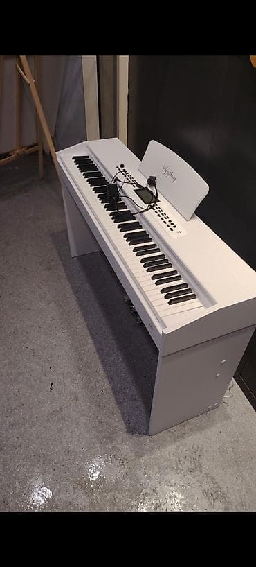 Piano muellimiyem. Səliqəli istifadə etmisem. 7.8 aydir almisam. 1 il — 2