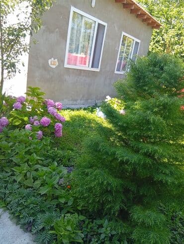 qara qarayev metrosu kirayə evlər: 40 м², 2 комнаты, Интернет, Телефон, Газ — 9