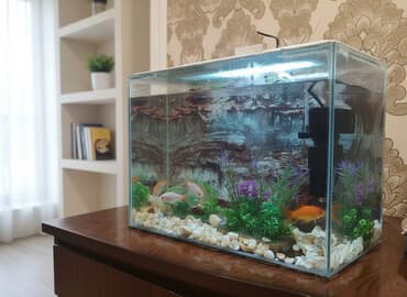 продажа аквариумных рыбок: Akvarium balıqları aksesuarlar yem tor filter — 1