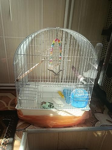 ucuz quşlar: Quş qəfəsi – aksesuarlarla birlikdə - Forma: yarımdairə damlı, metal — 1