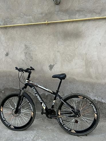 Velosiped – STELS SPORT MTB 29 luqdu cuzi prablemləri var real — 1
