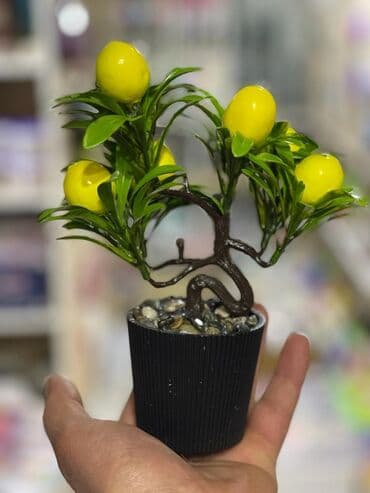 meyve agaci: Dekor meyve ağacı
Türkiye istehsalı — 4