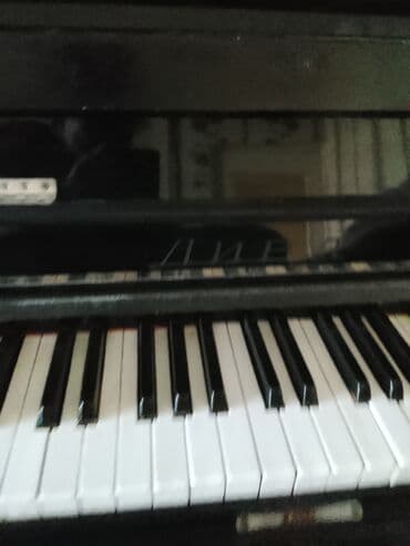 Akkordeonlar: Piano, Akustik — 3