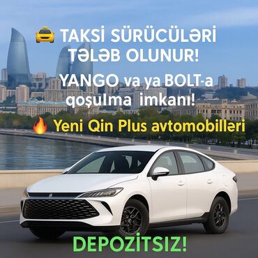 taksi sertifikatı qeydiyyat: Taksi sürücüsü tələb olunur — 1