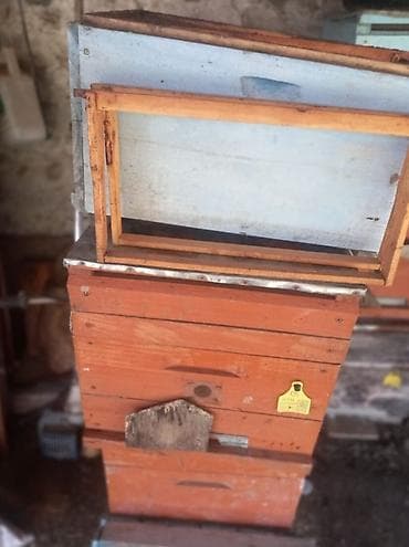 heyvan at: Arıçılıq üçün taxta arı yeşikləri və çərçivələr - Material: qalın — 3