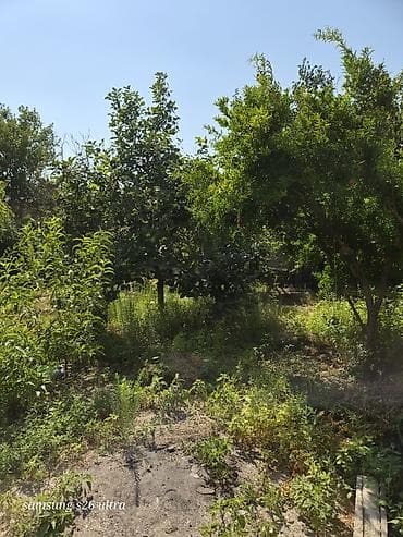 maştağada sot: Həyətyanı torpaq sahesi 4 sot yarimdir sokar poliklinka ilr uzbruz su — 6