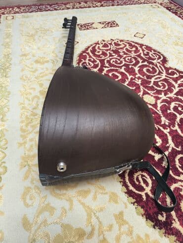 7 ci sinif kimya iş dəftəri pdf: Elektro saz (korpusda quraşdırılmış preamp ilə) - Alətlə — 2