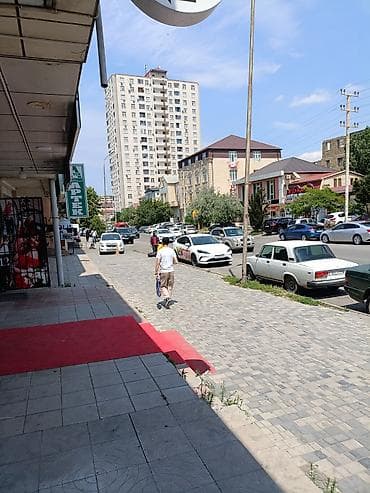 tələbələr: Bərbərlər | Saç kəsimi — 7