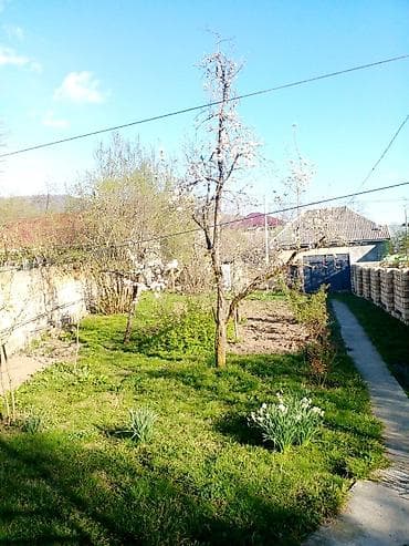 bahar heyət: 3 otaqlı, 90 kv. m, Kredit yoxdur, Orta təmir — 1