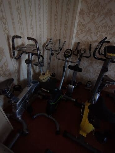 купить скейт круизер: Stasionar velotrenajorlar – müxtəlif modellər və dizaynlar - Daxili — 1