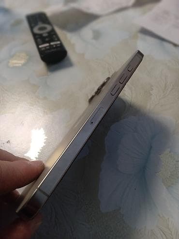 apple iphone 6: IPhone 16 Pro Max, 256 GB, Gümüşü, Face ID — 4