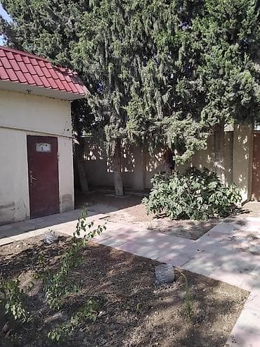 67 kv. m, 4 otaqlı, Qaz