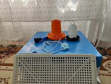 inkubator mini: Tam avtomat — 6
