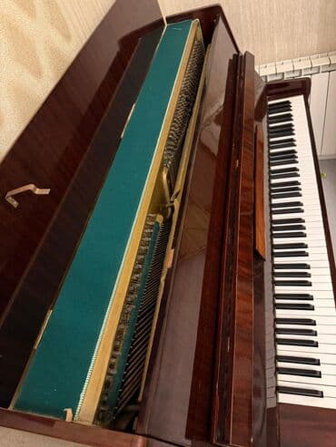 Akkordeonlar: Piano, Akustik — 4