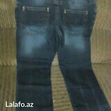 rus papağı: Almaniyadan getirilib. Tezedir. Cox kefiyyetli maldir. Olcusu kicik — 4