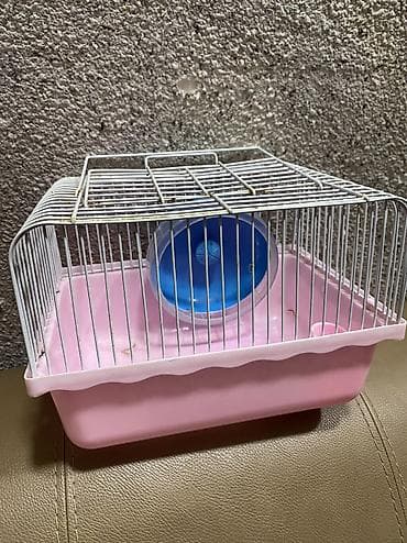 Yuvalar: Qəfəslər — 1