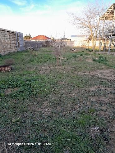 bulbule heyet evleri: 6 sot, Tikinti, Mülkiyyətçi, Kupça (Çıxarış) — 6