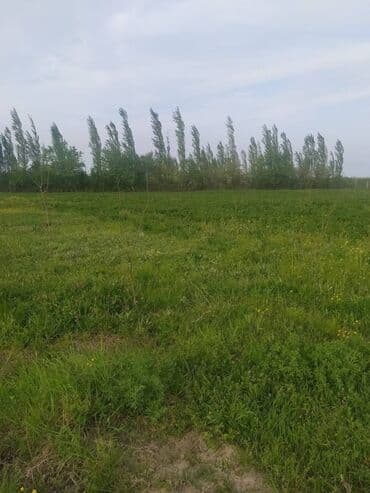 продажа недвижимости в азербайджане: 500 sot Kənd təsərrüfatı, Su — 1