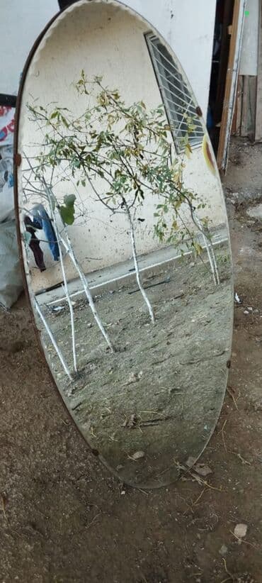 dekor guzgu: Güzgü Divar üçün, Oval — 1