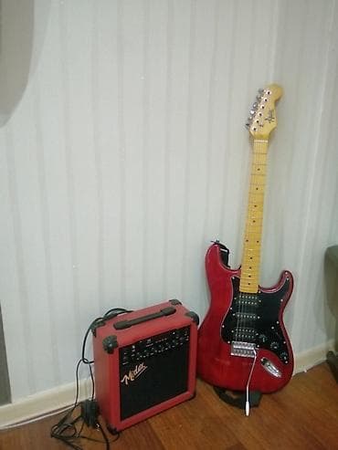 panda baligi: Elektron gitara, 6 sim, İşlənmiş — 3
