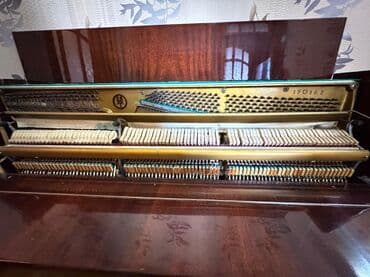 Saz: Piano, Akkord, Akustik — 3