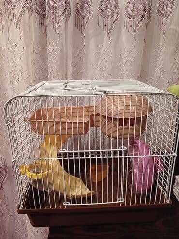 Xomyak üçün qəfəs və aksesuarlar dəsti qiymətdə endirim oluna bilər -