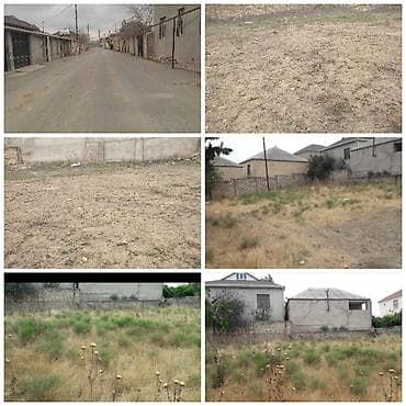 Дачи: 6 соток — 1