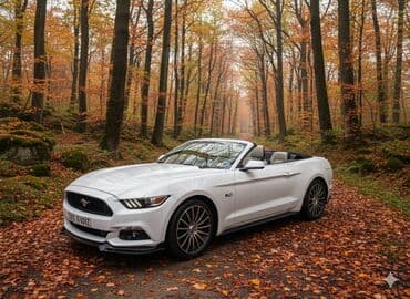 Ford Mustang: 5 l | Kabriolet