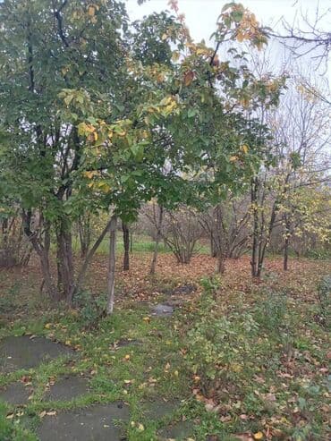 продажа и аренда домов: 4 комнаты, 110 м², Нет кредита, Без ремонта — 9