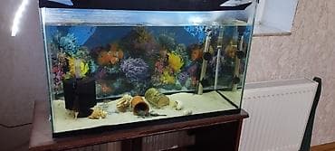 akvaryum satış: 1.50uzunlugu 50hundurluyu 60eni extra clear şüşədən 10luq yığılıb alt — 8