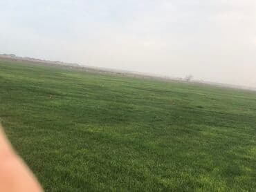 насосы для воды: Super Qazon — 2