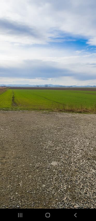 şabran rayonu: 400 sot, Kənd təsərrüfatı, Mülkiyyətçi, Kupça (Çıxarış) — 1