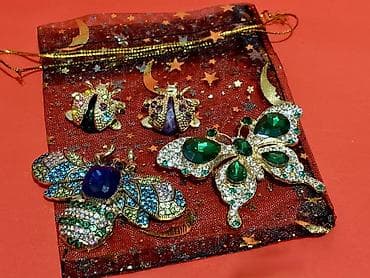 Бижутерия: Böcək temalı bəzək broş dəsti - Dəst tərkibi: 4 ədəd broş - 1 ədəd — 3