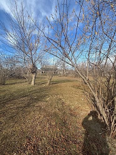 Mənzillər: Satılır: Böyük həyətyanı torpaq sahəsi və kənd evi - Geniş — 6