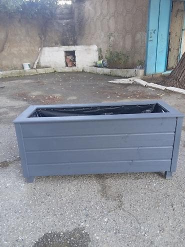 kala bitkisi: İsdənilən ölçüdə yiqmaq mumkundur bitki ilə birgə Satışı var — 8