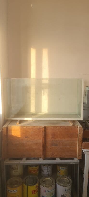 Digər heyvanlar: Şüşə akvarium - Ölçü: təxminən uzun 90 sm, hündür 50–55 sm, dərinlik — 3