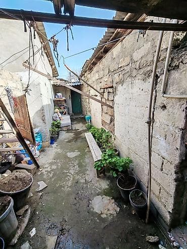 masallida evler: 80 kv. m, 3 otaqlı — 2