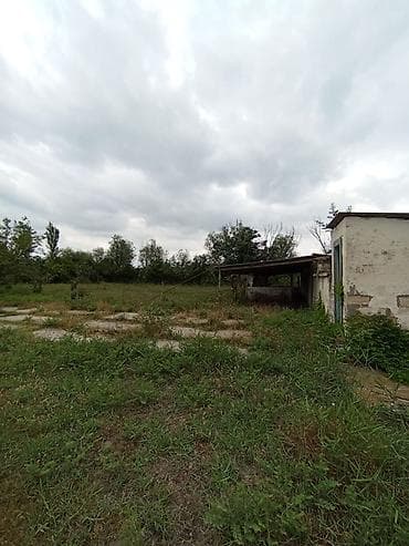 sadik: Torpaq sahəsi və həyət evi - Geniş həyətyanı sahəli torpaq: ətrafı — 4