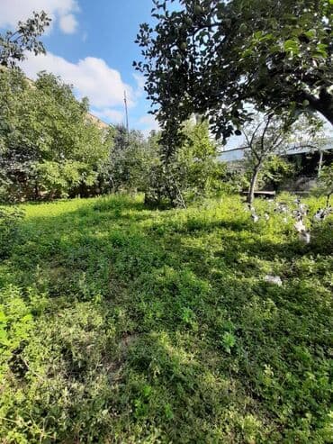 torpağ sahesi: 7 sot, Tikinti, Makler, Kupça (Çıxarış) — 9