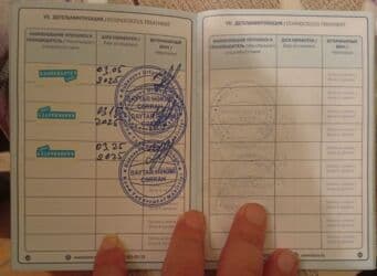 guclu itler: Rotveyler, 10 ay, Erkek, Sənədli, Ünvandan götürmə — 3