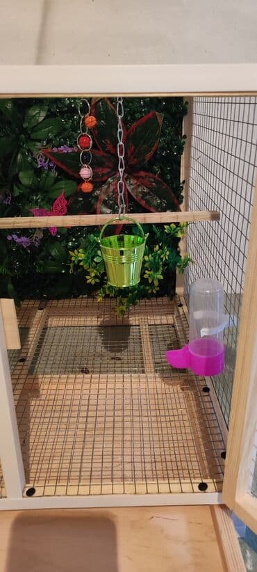 serebrist cucələr: Papuqay,dovşan,hamster,şinşila,bildirçin,cücə,xamyak,pişik,quş,tısbağa — 5