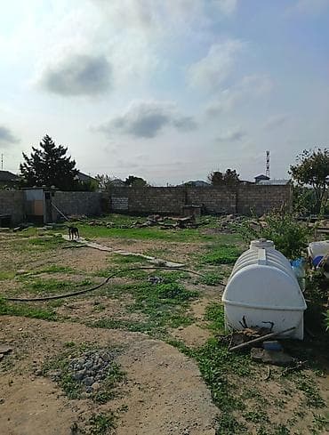 torpaq masazir: 4 sot, Mülkiyyətçi, Bələdiyyə — 3