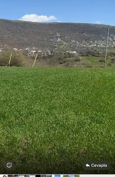 təcili satılan həyət evləri: 36 sot, Kənd təsərrüfatı, Mülkiyyətçi, Kupça (Çıxarış) — 3