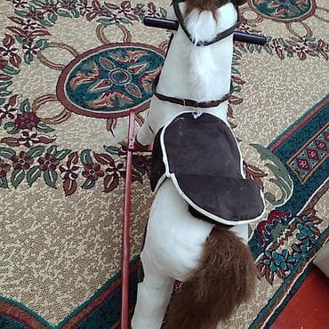 Птицы: Uşaq yelləncək at oyuncağı - Material: yumşaq plyuş korpus — 2