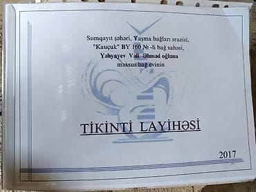 Tikinti