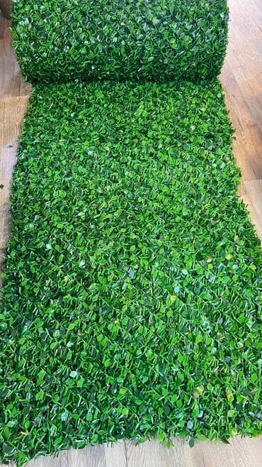 армуды купить в баку: 19 man baslayan qiymetler — 3